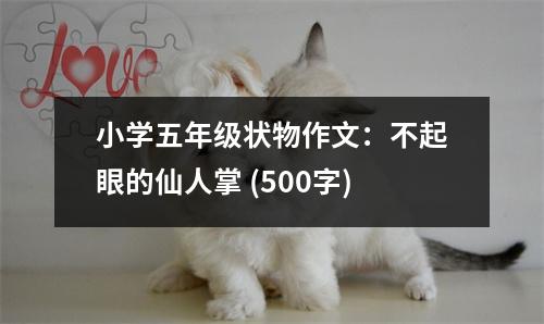 小學(xué)五年級狀物作文：不起眼的仙人掌 (500字)