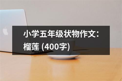 小學(xué)五年級(jí)狀物作文：榴蓮 (400字)