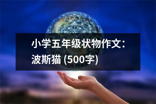 小學(xué)五年級狀物作文：波斯貓 (500字)