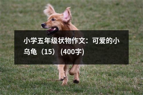 小學(xué)五年級狀物作文：可愛的小烏龜（15） (400字)