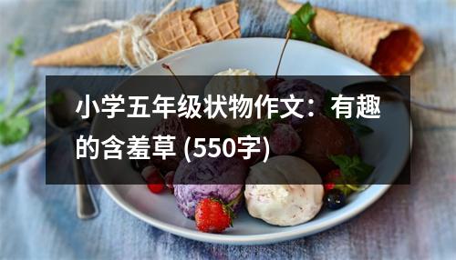 小學(xué)五年級狀物作文：有趣的含羞草 (550字)
