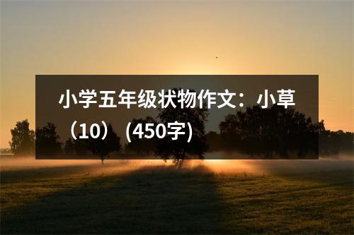 小學五年級狀物作文：小草（10） (450字)