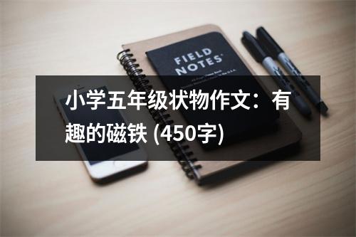 小學(xué)五年級(jí)狀物作文：有趣的磁鐵 (450字)