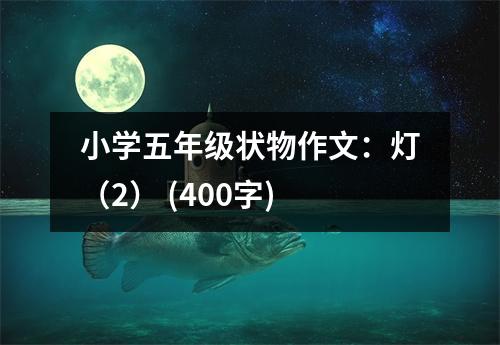 小學(xué)五年級(jí)狀物作文：燈（2） (400字)