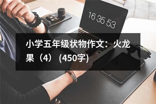 小學(xué)五年級(jí)狀物作文：火龍果（4） (450字)
