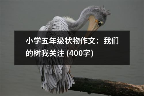 小學(xué)五年級(jí)狀物作文：我們的樹(shù)我關(guān)注 (400字)