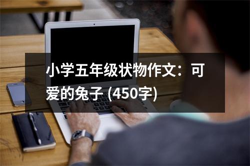 小學(xué)五年級狀物作文：可愛的兔子 (450字)