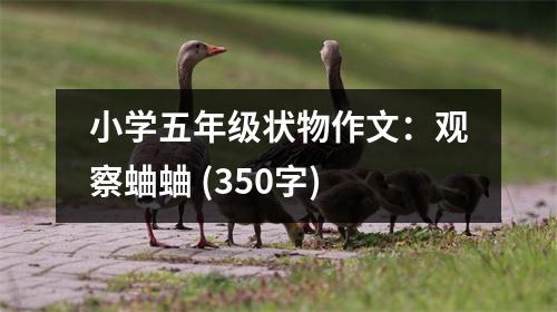 小學(xué)五年級(jí)狀物作文：觀察蛐蛐 (350字)