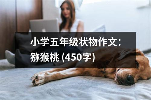 小學(xué)五年級(jí)狀物作文：獼猴桃 (450字)