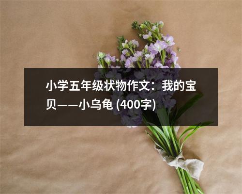 小學(xué)五年級(jí)狀物作文：我的寶貝——小烏龜 (400字)