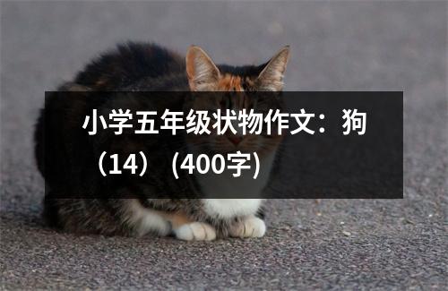 小學(xué)五年級狀物作文：狗（14） (400字)