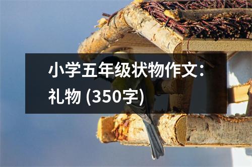 小學(xué)五年級狀物作文：禮物 (350字)