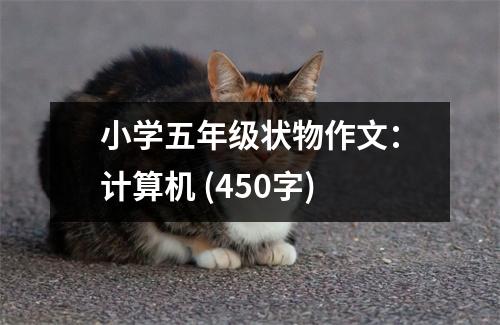 小學(xué)五年級(jí)狀物作文：計(jì)算機(jī) (450字)