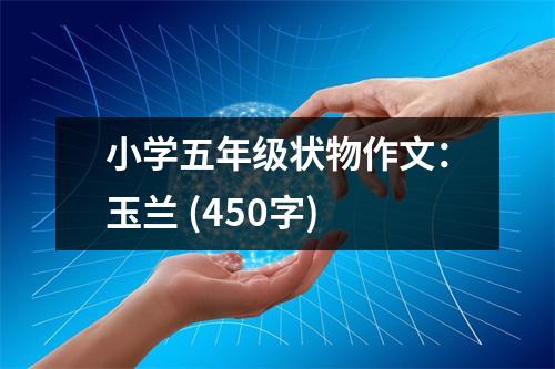 小學(xué)五年級(jí)狀物作文：玉蘭 (450字)
