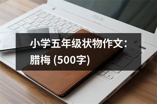 小學(xué)五年級(jí)狀物作文：臘梅 (500字)