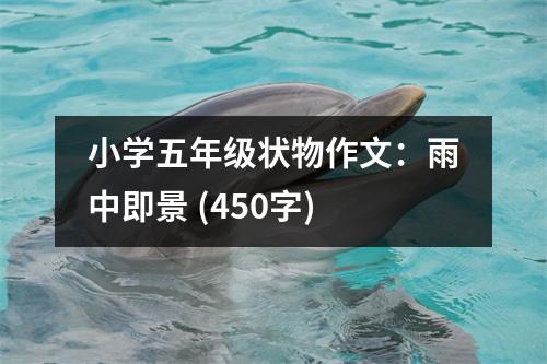 小學五年級狀物作文：雨中即景 (450字)