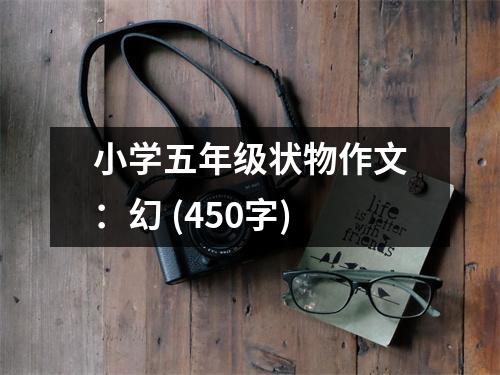 小學五年級狀物作文：幻 (450字)