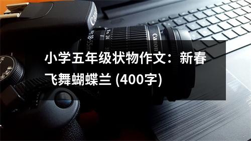 小學(xué)五年級狀物作文：新春飛舞蝴蝶蘭 (400字)