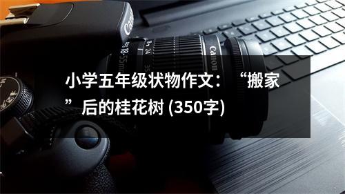 小學(xué)五年級狀物作文：“搬家”后的桂花樹 (350字)