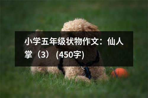 小學(xué)五年級狀物作文：仙人掌（3） (450字)