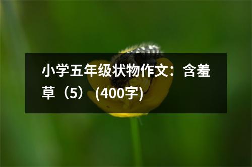 小學五年級狀物作文：含羞草（5） (400字)