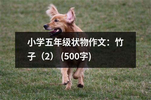 小學(xué)五年級(jí)狀物作文：竹子（2） (500字)