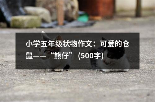 小學(xué)五年級(jí)狀物作文：可愛的倉鼠——“熊仔” (500字)