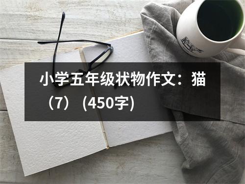小學(xué)五年級狀物作文：貓（7） (450字)