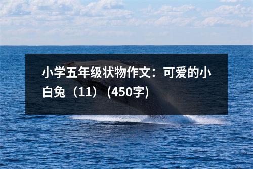 小學(xué)五年級狀物作文：可愛的小白兔（11） (450字)