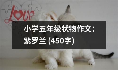 小學(xué)五年級狀物作文：紫羅蘭 (450字)