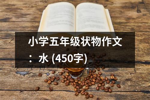 小學(xué)五年級(jí)狀物作文：水 (450字)