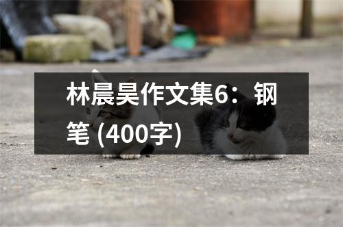 林晨昊作文集6：鋼筆 (400字)