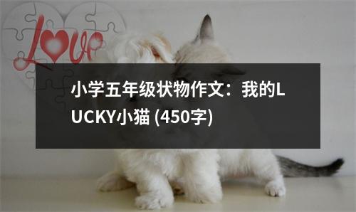 小學(xué)五年級(jí)狀物作文：我的LUCKY小貓 (450字)