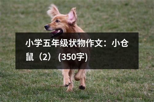 小學(xué)五年級狀物作文：小倉鼠（2） (350字)