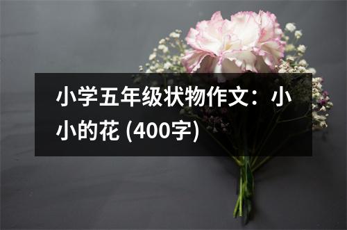 小學五年級狀物作文：小小的花 (400字)