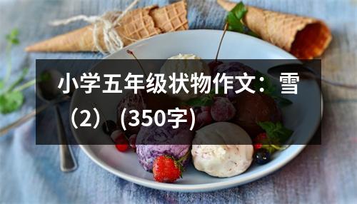 小學五年級狀物作文：雪（2） (350字)