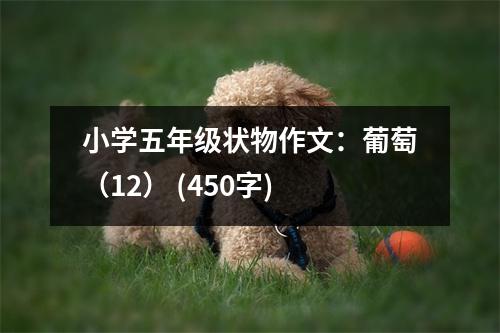 小學(xué)五年級狀物作文：葡萄（12） (450字)
