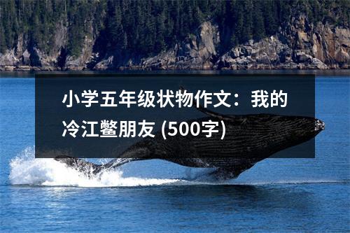 小學(xué)五年級(jí)狀物作文：我的冷江鱉朋友 (500字)