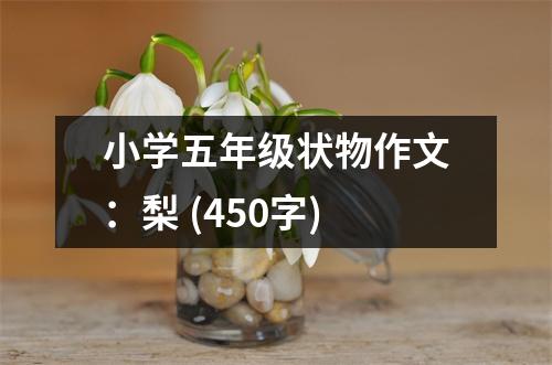 小學(xué)五年級(jí)狀物作文：梨 (450字)
