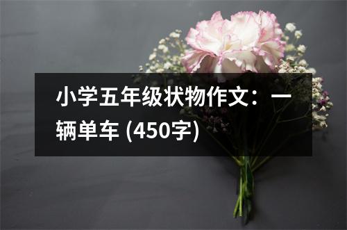 小學(xué)五年級(jí)狀物作文：一輛單車(chē) (450字)