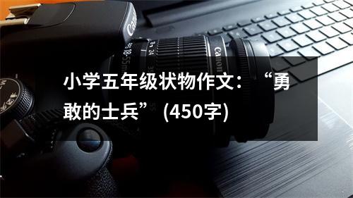 小學(xué)五年級(jí)狀物作文：“勇敢的士兵” (450字)