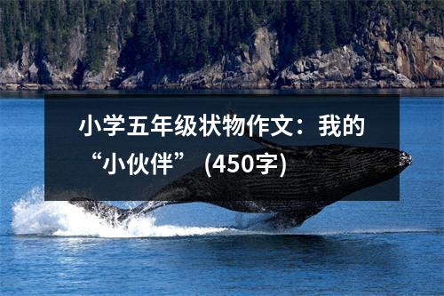 小學五年級狀物作文：我的“小伙伴” (450字)