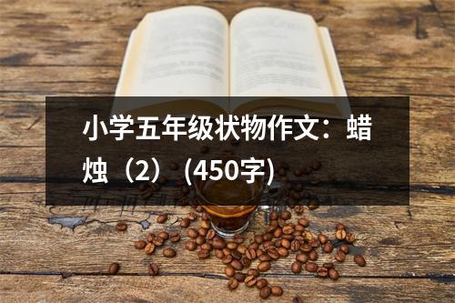 小學(xué)五年級狀物作文：蠟燭（2） (450字)