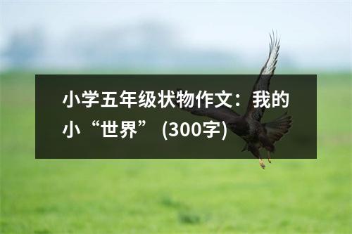 小學(xué)五年級(jí)狀物作文：我的小“世界” (300字)