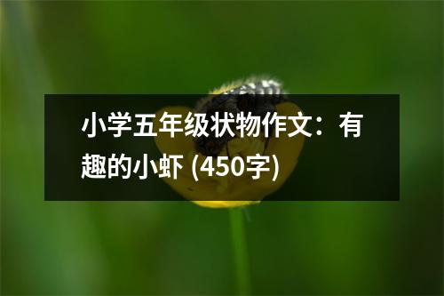 小學五年級狀物作文：有趣的小蝦 (450字)