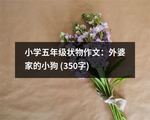 小學(xué)五年級(jí)狀物作文：外婆家的小狗 (350字)