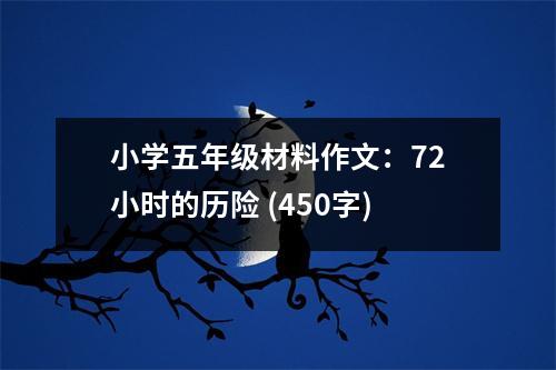 小學(xué)五年級(jí)材料作文：72小時(shí)的歷險(xiǎn) (450字)
