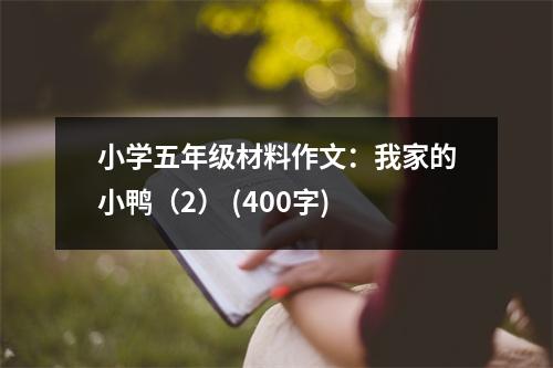 小學(xué)五年級(jí)材料作文：我家的小鴨（2） (400字)
