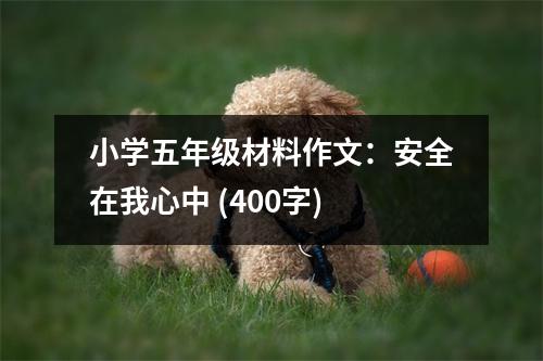 小學五年級材料作文：安全在我心中 (400字)