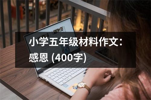 小學(xué)五年級(jí)材料作文：感恩 (400字)